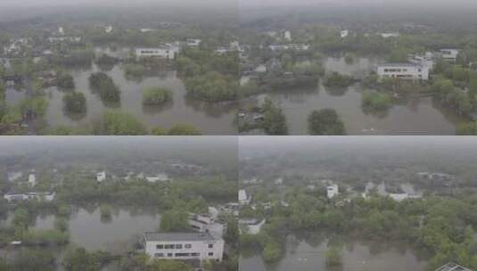 西溪湿地高清在线视频素材下载