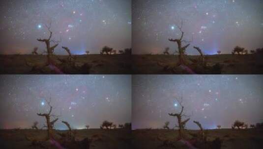 内蒙古怪树林景区星空银河高清在线视频素材下载