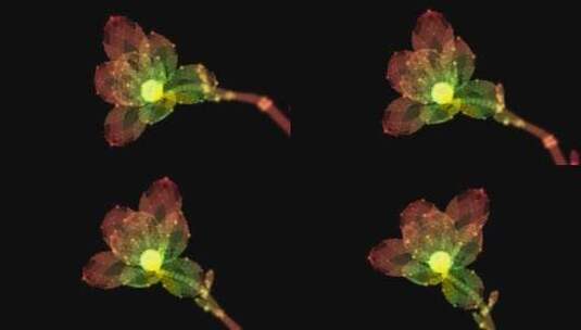 全息粒子花朵背景高清在线视频素材下载