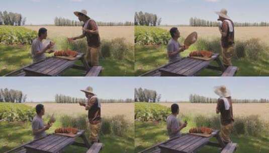 农民在田头吃西瓜高清在线视频素材下载