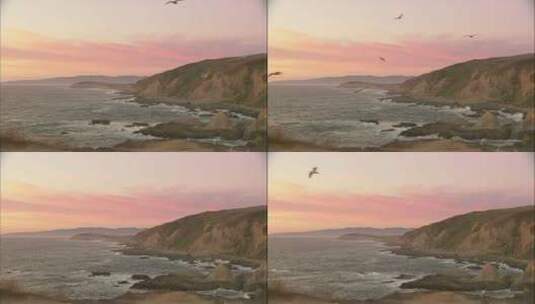 黄昏岸边海鸥飞翔高清在线视频素材下载