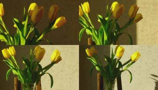 家里的黄色郁金香随着时间流逝高清在线视频素材下载