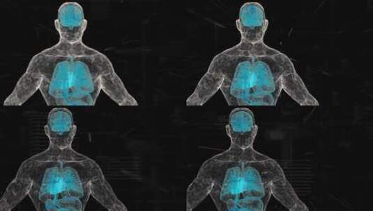 大脑内脏扫描生物科技人体扫描点模型蓝色高清在线视频素材下载