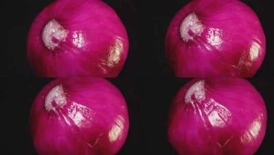 皮牙子洋葱头圆葱高清在线视频素材下载