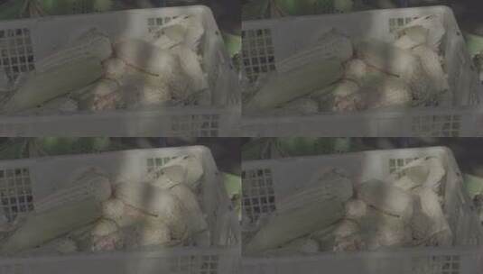 菜市场玉米光影慢镜头高清在线视频素材下载