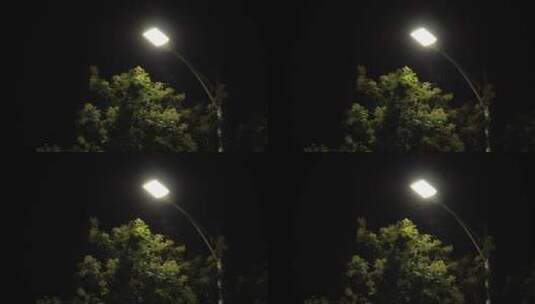 夜晚的路灯高清在线视频素材下载