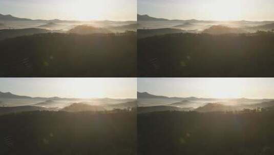 早晨阳光森林4K高清在线视频素材下载