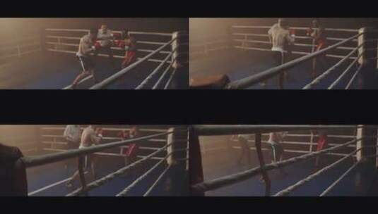 拳击手比赛高清在线视频素材下载
