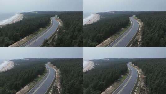 穿过海边森林的公路高清在线视频素材下载