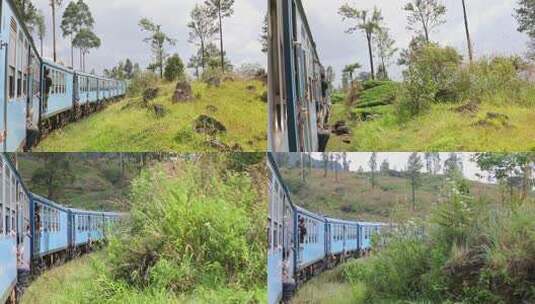 斯里兰卡网红小火车行驶在艾拉茶园高清在线视频素材下载