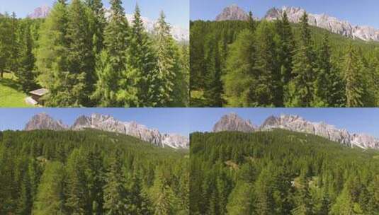 森林山脉鸟瞰图高清在线视频素材下载