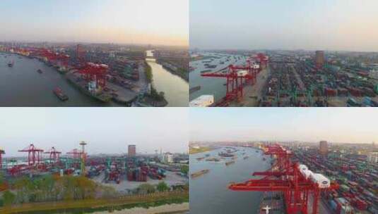 上海 黄浦江 码头 港口 吴淞 集装箱高清在线视频素材下载