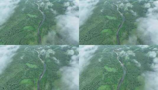 航拍晨雾缭绕的绿色山林云海高清在线视频素材下载