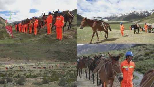 藏中联网安久拉山马帮运输视频高清在线视频素材下载