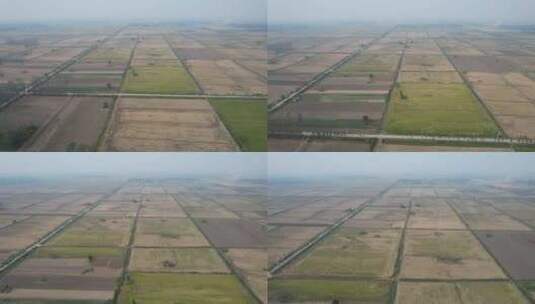 俯瞰稻米水稻农田种植基地前方高清在线视频素材下载