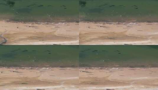 俯拍大海海浪沙滩竖屏高清在线视频素材下载