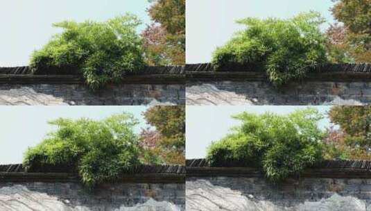江南传统建筑会墙白瓦高清在线视频素材下载