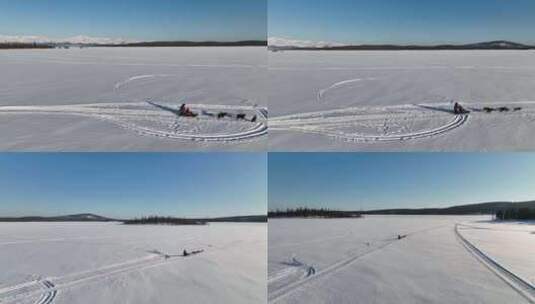 雪中骑着狗拉雪橇的一家人高清在线视频素材下载