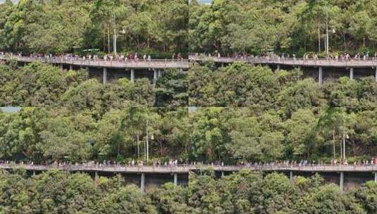 广东观音山国家森林公园第十二届登山大赛高清在线视频素材下载