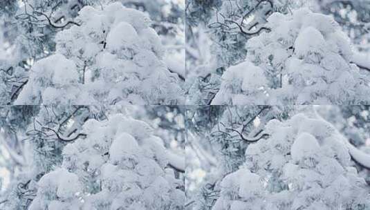 伏牛山冬季雪景雾凇高清在线视频素材下载