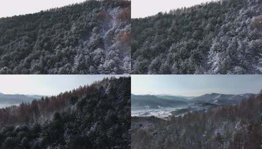 航拍东北下暴雪林海雪原威虎山高清在线视频素材下载