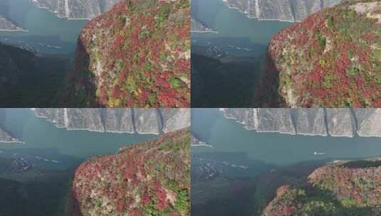 长江三峡巫峡红叶高清在线视频素材下载