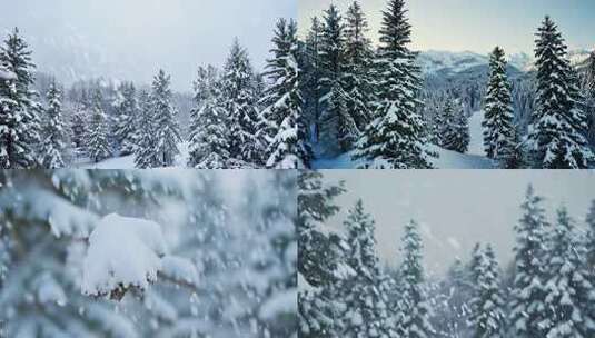 下雪特写、唯美雪景 (1)高清在线视频素材下载