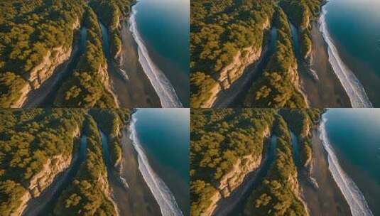 森林海岸航拍全景高清在线视频素材下载