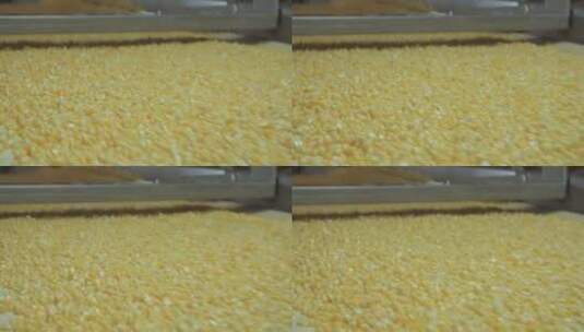 食品工厂机器加工玉米粒特写高清在线视频素材下载