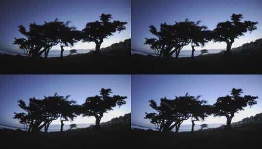太平洋松树后面的时间延时高清在线视频素材下载