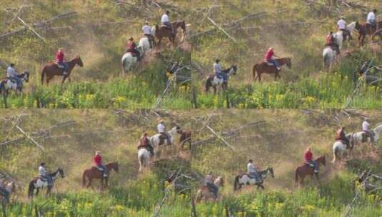 骑手在荒野中集体旅行高清在线视频素材下载
