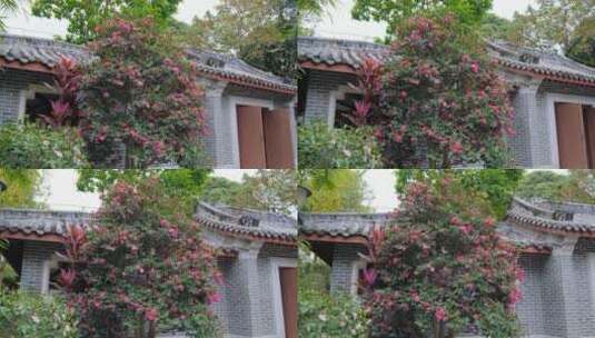 古宅庭院的春节高清在线视频素材下载
