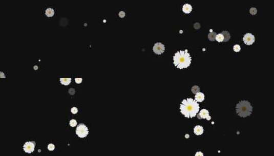唯美白菊花粒子旋转特效视频高清在线视频素材下载