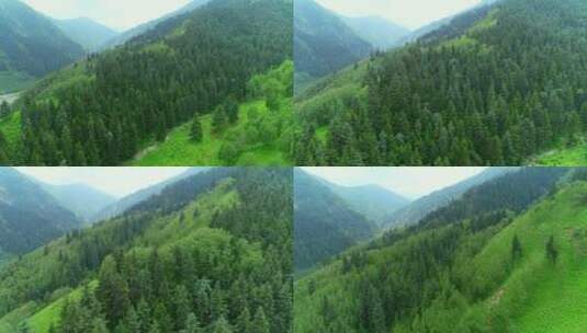 大山与森林高清航拍素材-01（1080P）高清在线视频素材下载