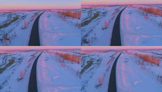 新疆天山夕阳下的林海雪原高清在线视频素材下载