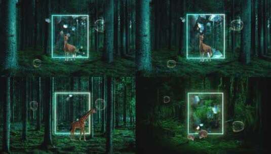 梦幻森林  森林中的动物高清在线视频素材下载