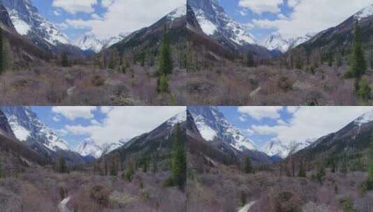 著名风景区四姑娘山双桥沟航拍秋天风景高清在线视频素材下载