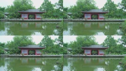 武汉东湖磨山景区盆景园荷花高清在线视频素材下载