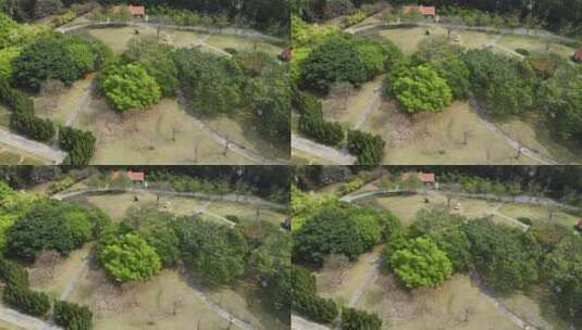 城市自然湿地树林航拍高清在线视频素材下载