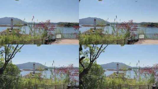 杭州千岛湖   4k高清在线视频素材下载