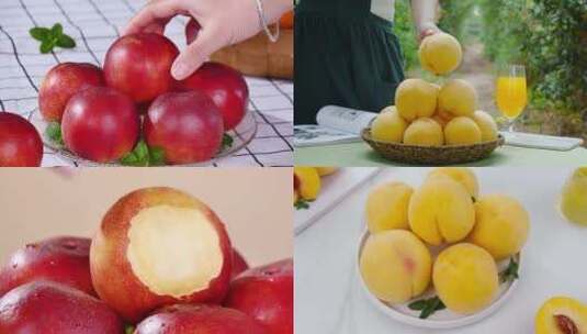 新鲜桃子素材高清在线视频素材下载