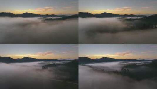 云雾中的茶山日出高清在线视频素材下载