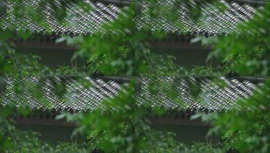 江南雨季中式园林建筑绿植雨滴高清在线视频素材下载