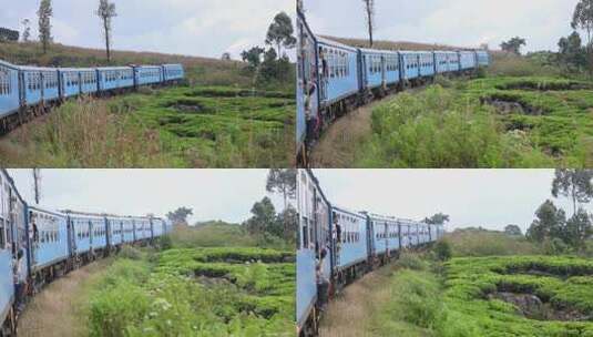 斯里兰卡网红小火车行驶在艾拉茶园高清在线视频素材下载