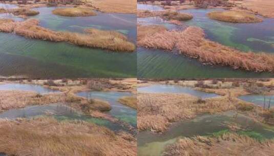 青海 贵德 黄河 湿地 航拍高清在线视频素材下载
