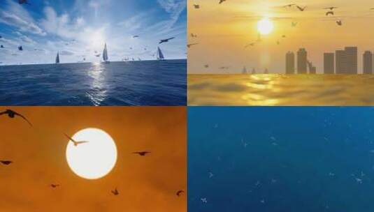 海平面飞翔的海鸥群高清在线视频素材下载