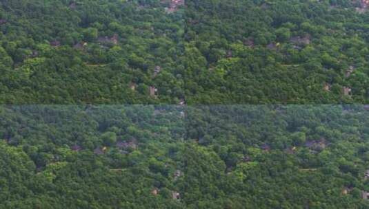 杭州西湖景区永福寺航拍高清在线视频素材下载