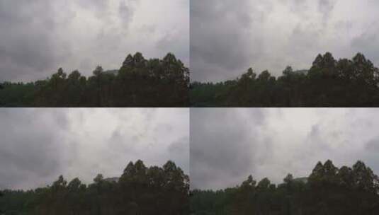 阴天森林乌云飘过树林阴雨天森林大景松树林高清在线视频素材下载
