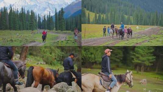 夏塔牧民骑马自由雪山牛马吃草森林野生动物高清在线视频素材下载