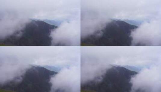 森林云海山峰云雾缭绕雨后树林山林山脉风景高清在线视频素材下载